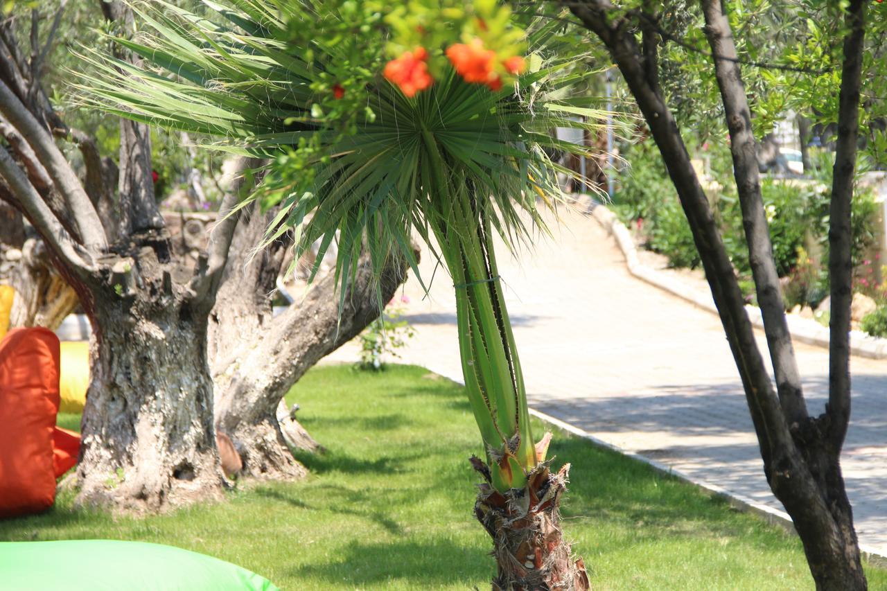 Kayalar Blue Beach Hotel Sazli Екстер'єр фото